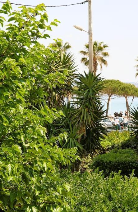 Blue Summer Vibes Duplex Studio For 4P, Ac, Sea View, Parking, Beach At 50M, Spa Access -3 لا سيوتا المظهر الخارجي الصورة